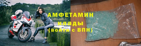 гидра Белокуриха